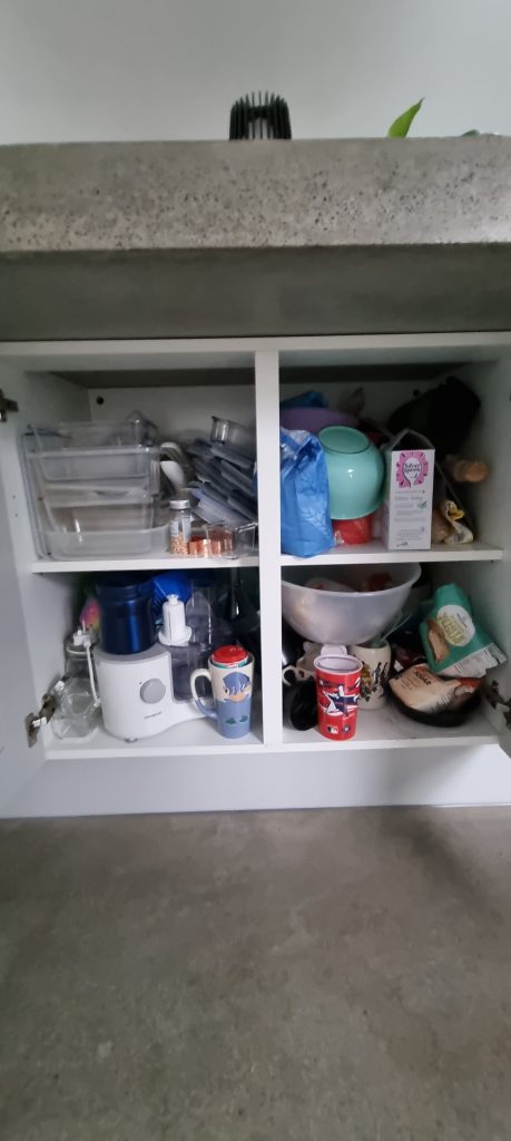 Before Kitchen Cupboard